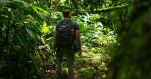An adventurous man hikes through a vibrant green jungle, capturing the essence of exploration and nature.